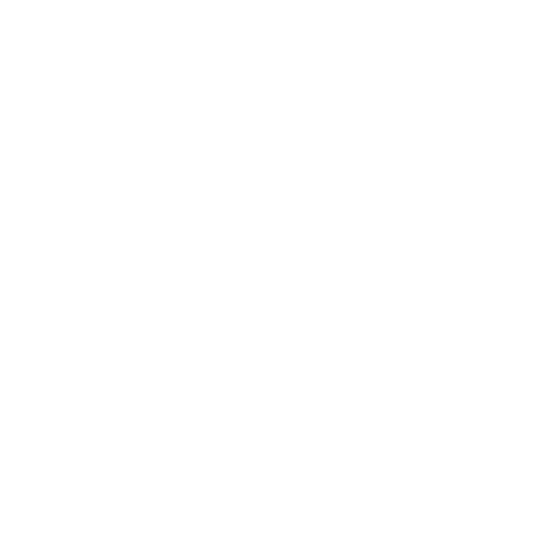 Naghi Motors: Ford & Lincoln (KSA)
